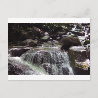 Carte postale de Noël sans glyphosate dans le Tenn