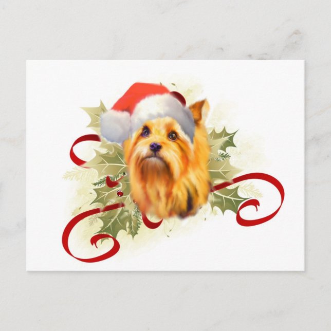Carte postale de Noël Yorkshire Terrier (Devant)