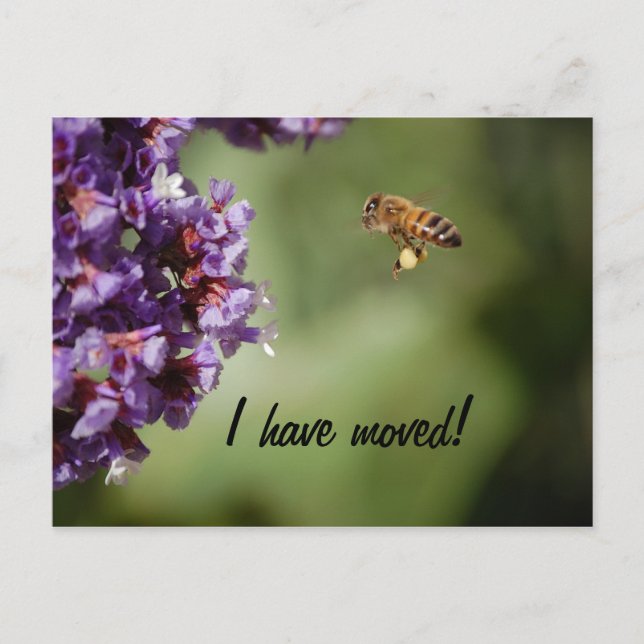 Carte postale de nouvelle adresse (Devant)