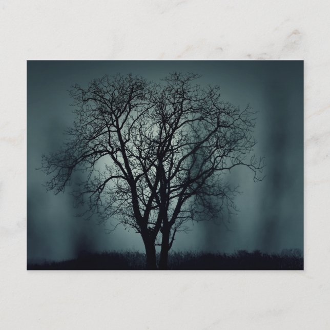 Carte postale de nuit effrayante d'Halloween avec  (Devant)