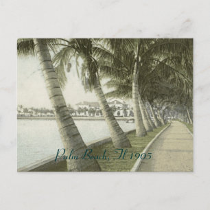 Carte postale de Palm Beach 1905