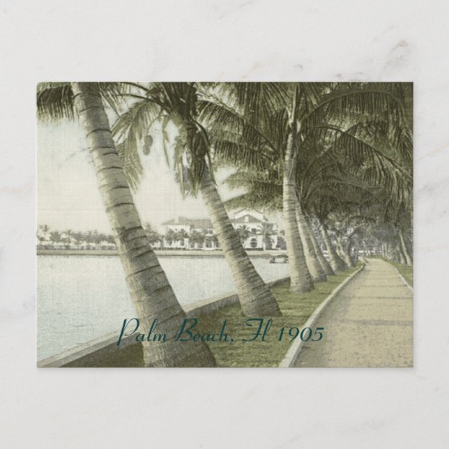Carte postale de Palm Beach 1905 (Devant)