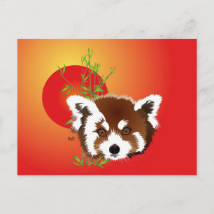 Carte postale de Panda