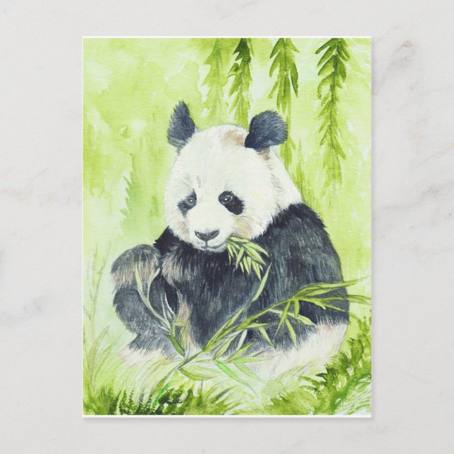Carte postale de panda géant (Devant)