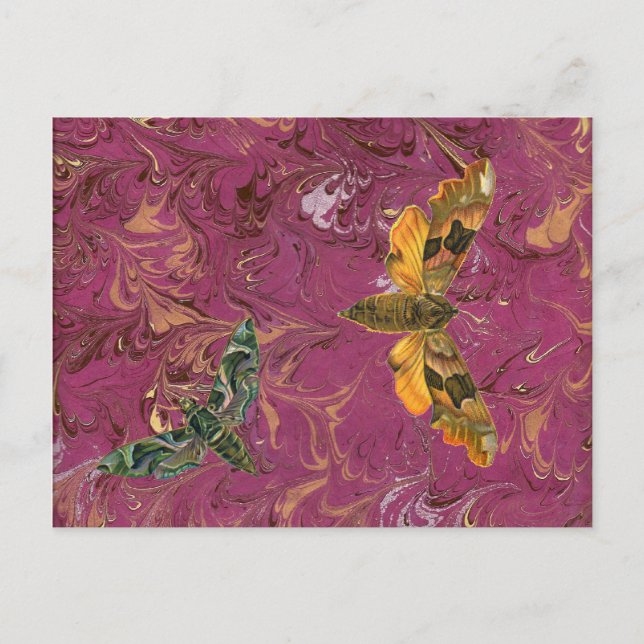 Carte postale de papillon marbré pourpre (Devant)