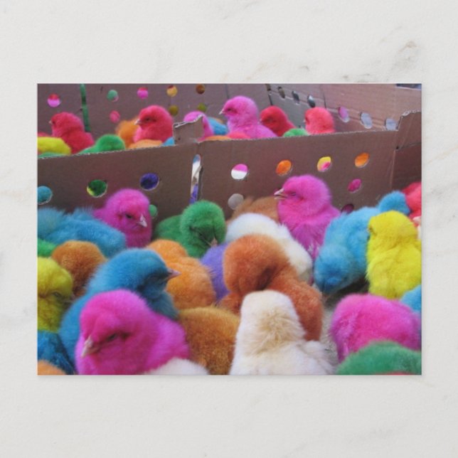 Carte postale de Pâques (Devant)