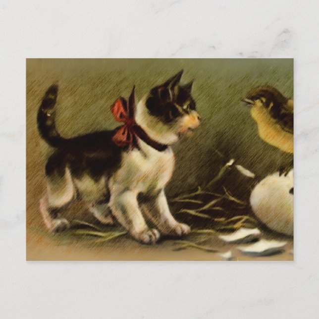 Carte postale de Pâques de chaton et de poussin (Devant)