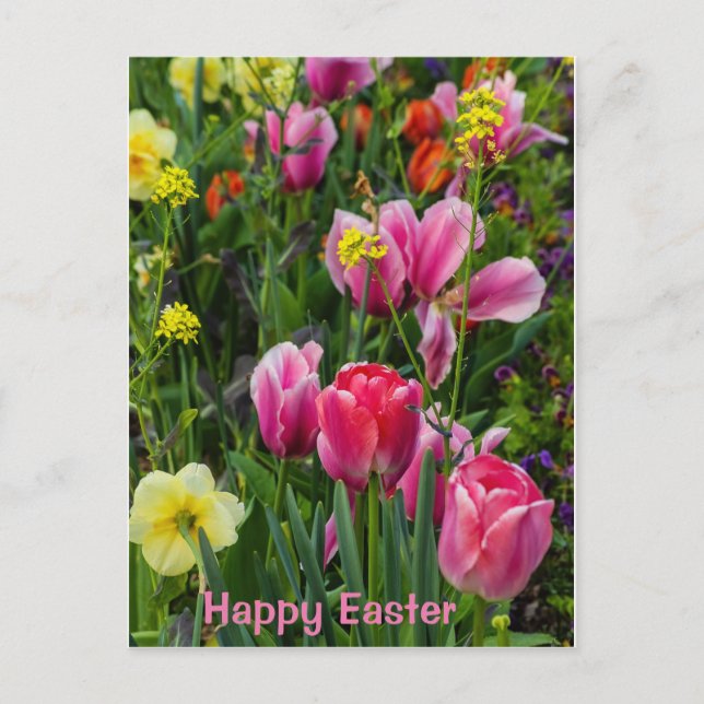 Carte postale de Pâques Fleurs du Printemps (Devant)