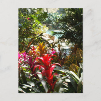 Carte postale de paradis