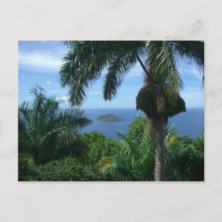 Carte postale de paumes