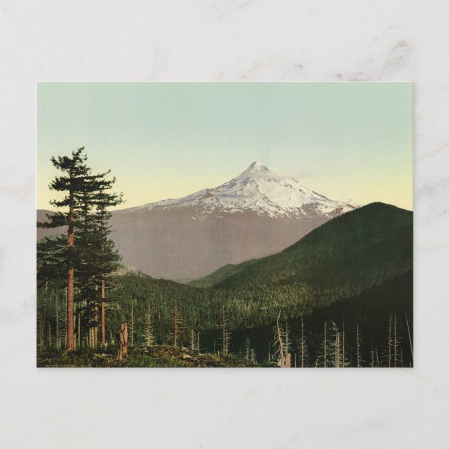 Carte postale de paysage américain vintage (Devant)