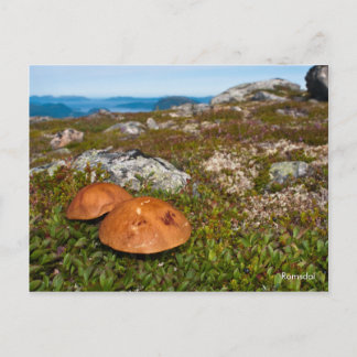 Carte postale de paysage de montagne. Norvège