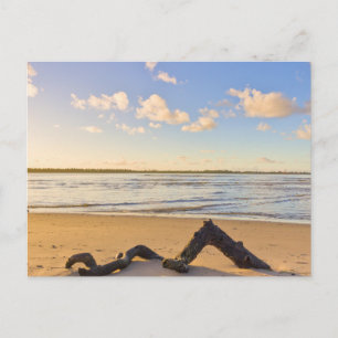 Carte postale de paysage de plage moderne de la na