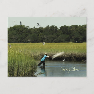 Carte postale de pêche Pawleys Island