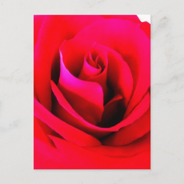 Carte postale de peinture à fleurs (Devant)