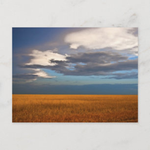 Carte postale de peinture à l'huile fine de champ