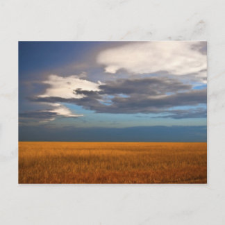 Carte postale de peinture à l'huile fine de champ
