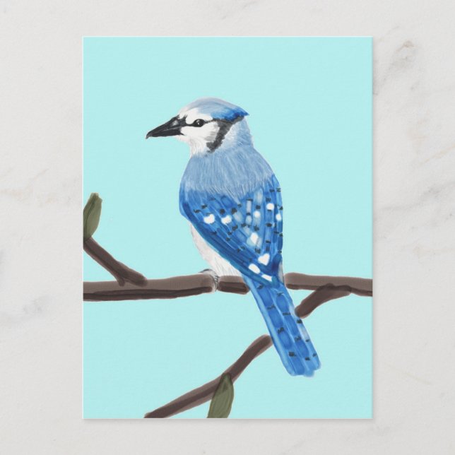 Carte postale de peinture d'aquarelle de geai bleu (Devant)