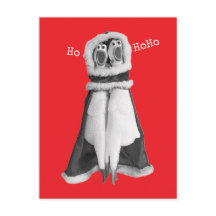 Carte postale de Père Noël en poulet en caoutchouc