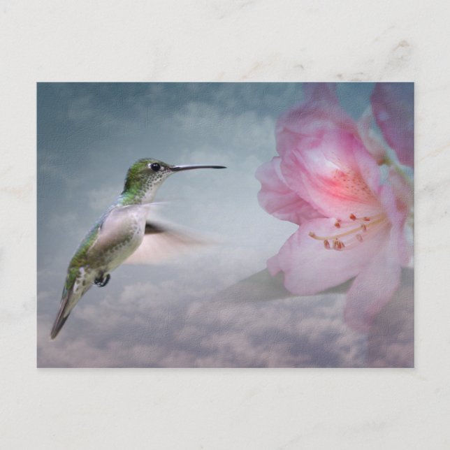 Carte postale de Picaflores (Devant)