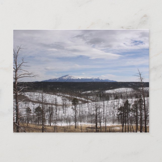 Carte postale de Pike's Peak (Devant)