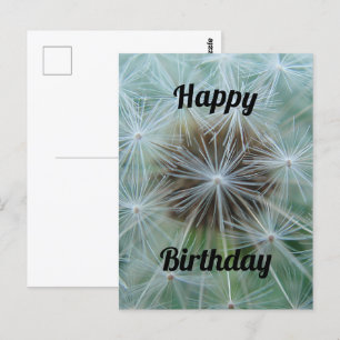 Carte postale de pissenlit blanc