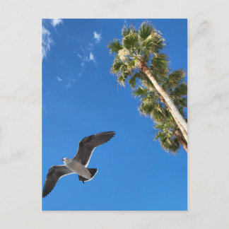 Carte postale de plage