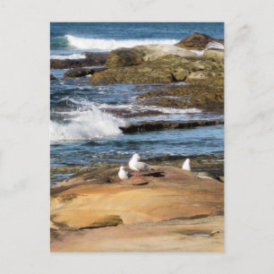 Carte postale de plage #7001