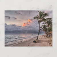 carte postale de plage tropicale