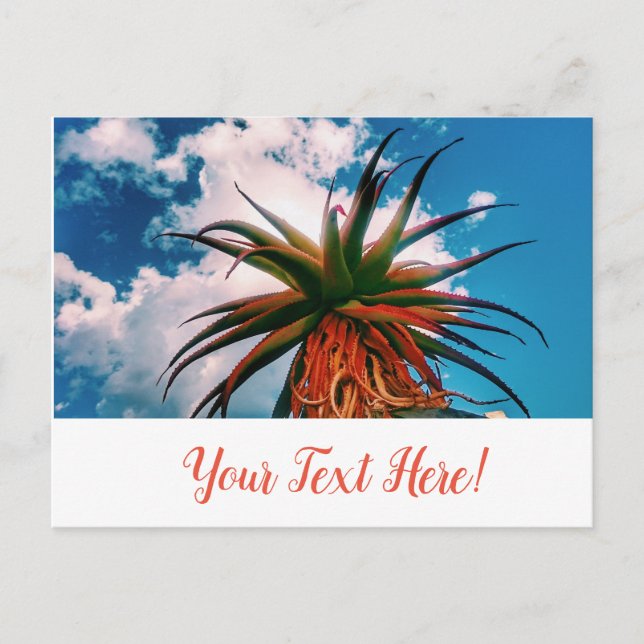 Carte postale de plante verte orange succulente al (Devant)