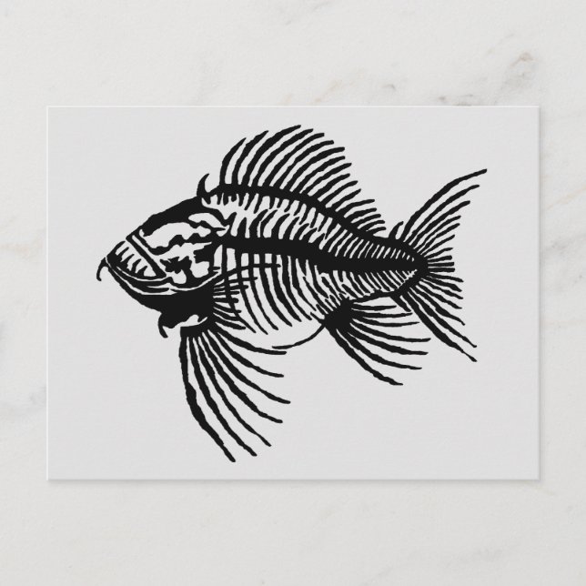 Carte postale de poisson fossile (Devant)