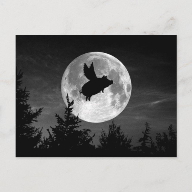 carte postale de porc volant pleine lune (Devant)