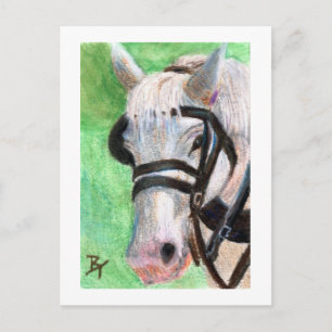 Carte postale de portrait de cheval