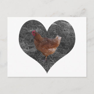 Carte postale de poulet en forme de coeur