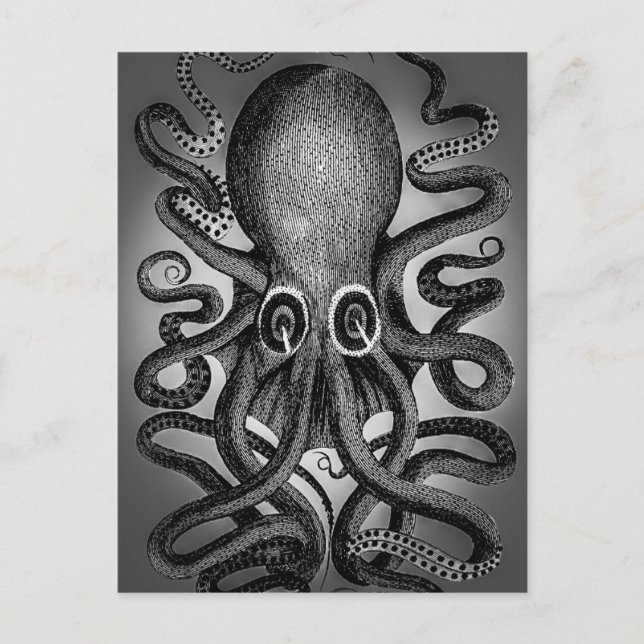 Carte postale de poulpe (Devant)