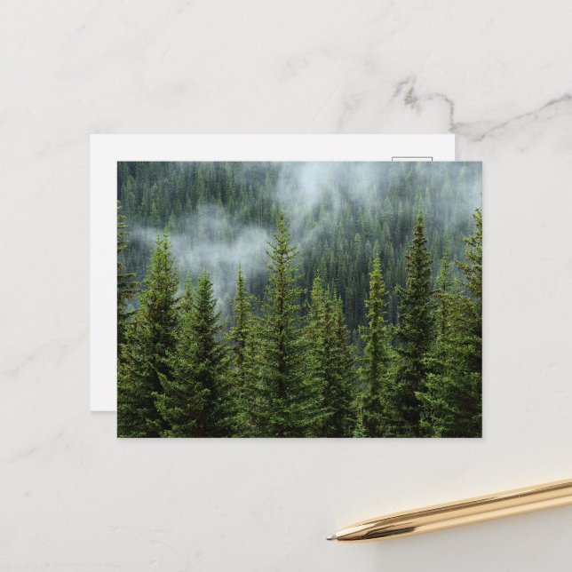 Carte postale de prairie forestière sereine (Devant/Arrière en situation)