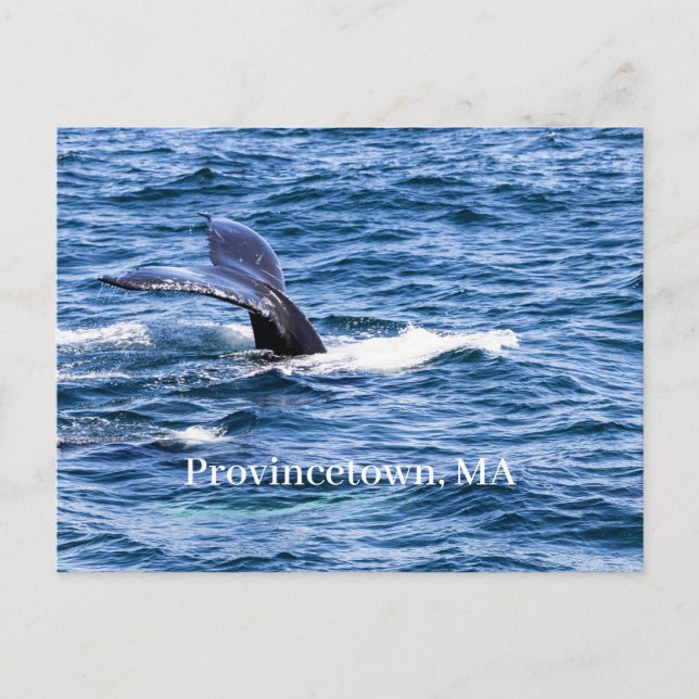 Carte postale de Provincetown (Devant)