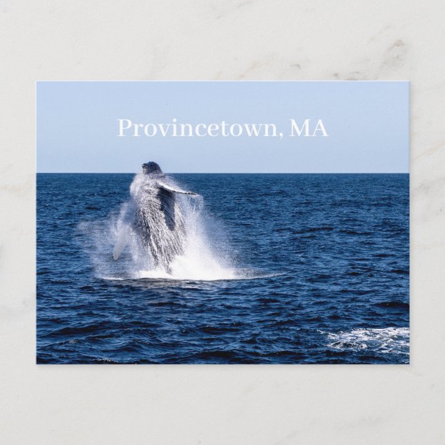 Carte postale de Provincetown (Devant)