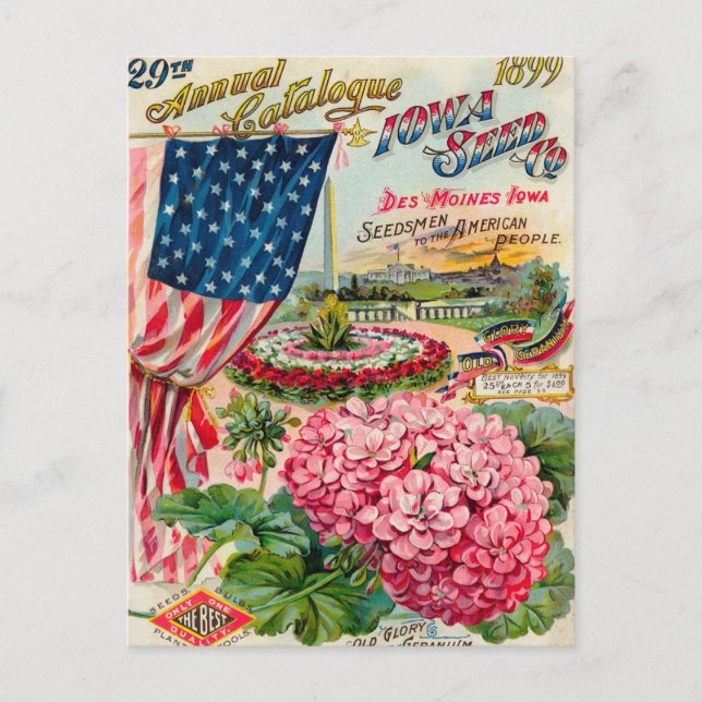 Carte postale de publicité de graines anciennes (Devant)