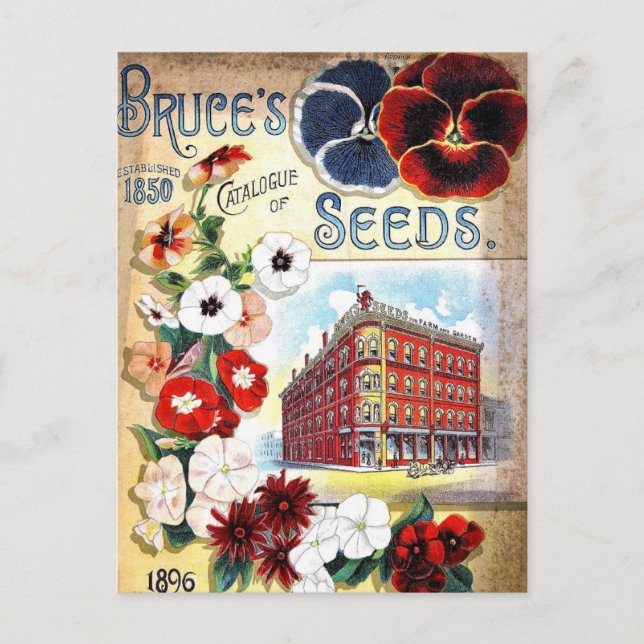 Carte postale de publicité de graines anciennes (Devant)