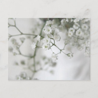 Carte postale de pureté