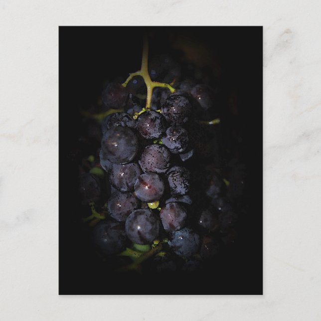 Carte postale de raisins violets (Devant)