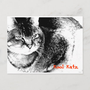 Carte postale de rappel de pratique vétérinaire pe