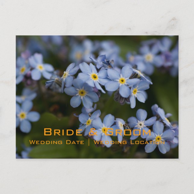 Carte postale de rappel « Ne m'oubliez pas » (Devant)