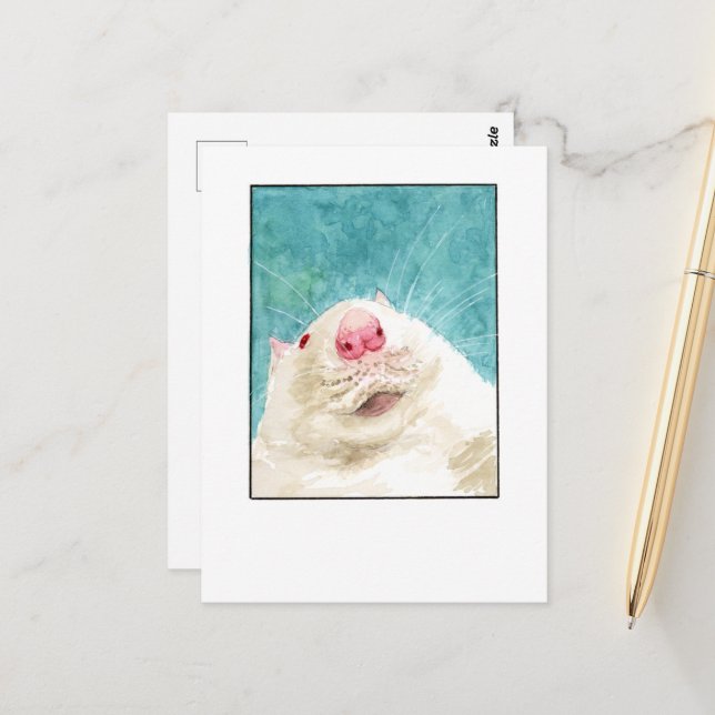 Carte postale de rat de compagnie - DNM (Devant/Arrière en situation)