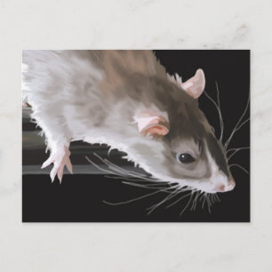 Carte postale de rat mignon