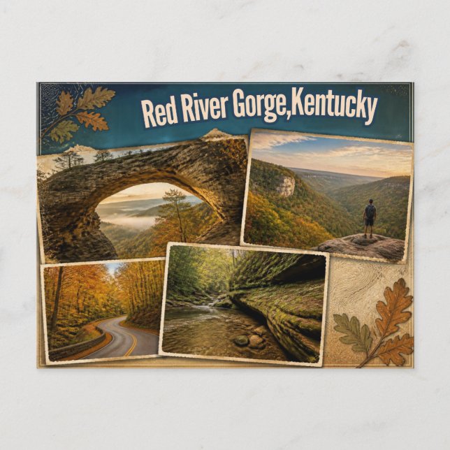 Carte postale de Red River Gorge, Kentucky (Devant)