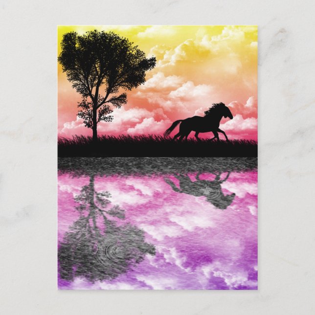 Carte postale de reflets de cheval (Devant)