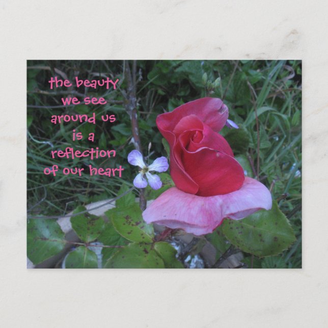 carte postale de réflexion (Devant)