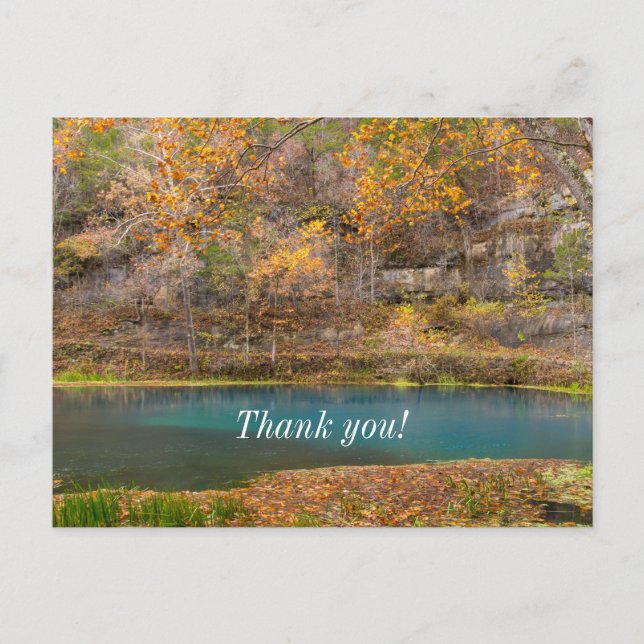 Carte postale de remerciement Alley Spring View (Devant)